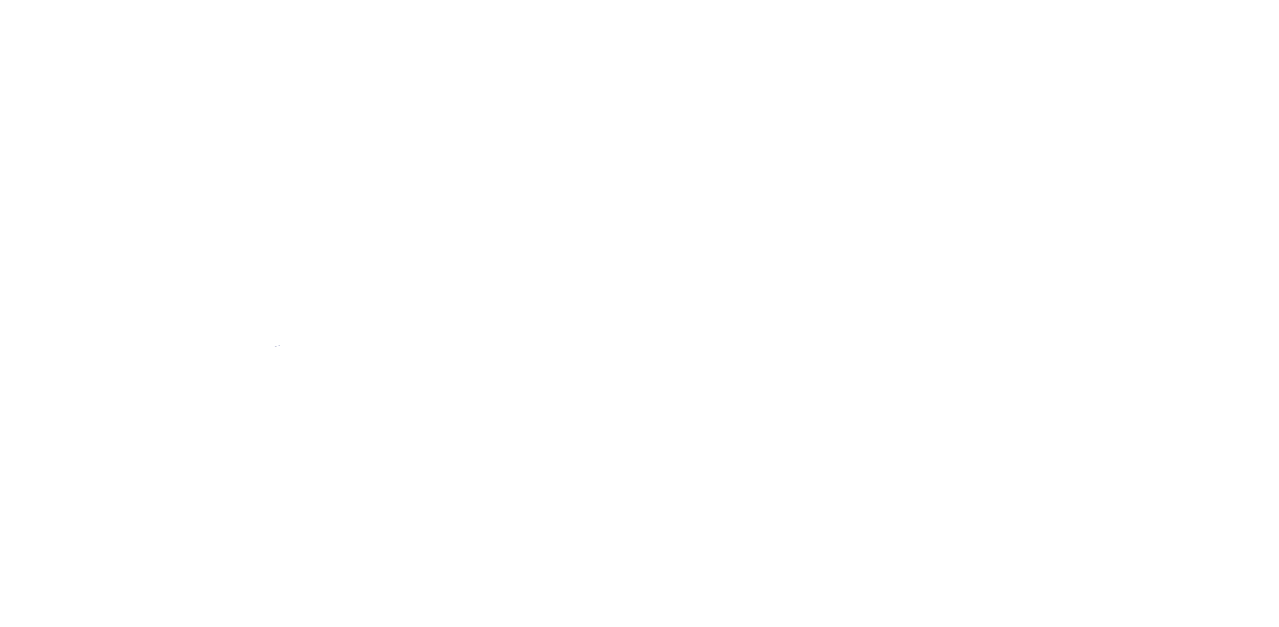 SVN logo